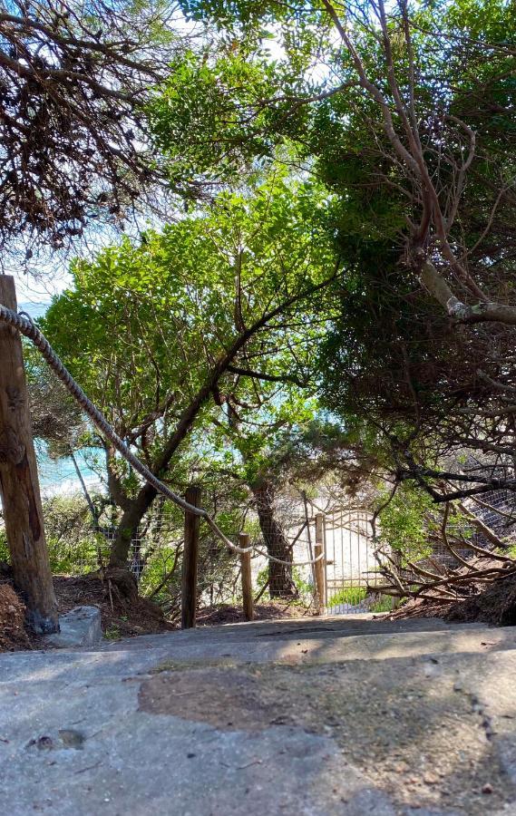 Villa Belinda 산타마르게리타디풀라 외부 사진